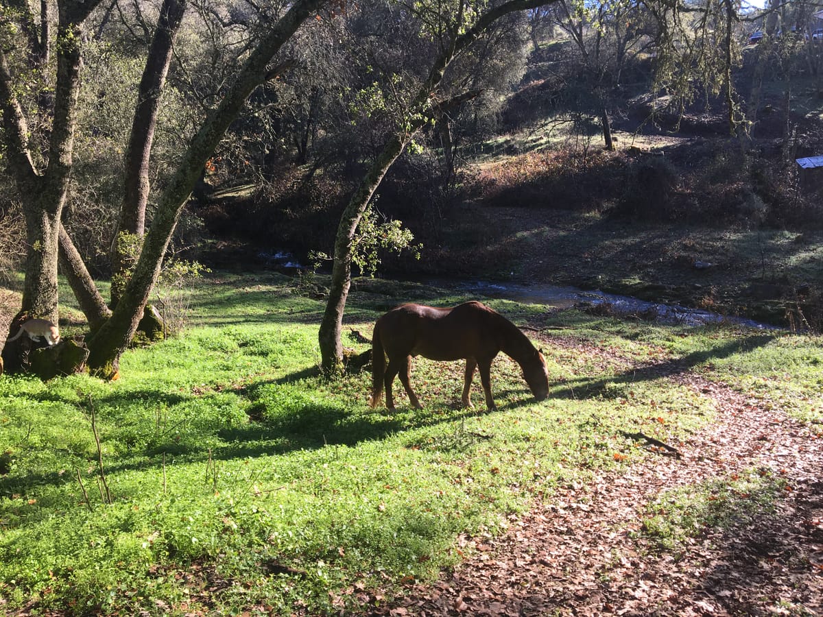 Winter, or not? March is undecided