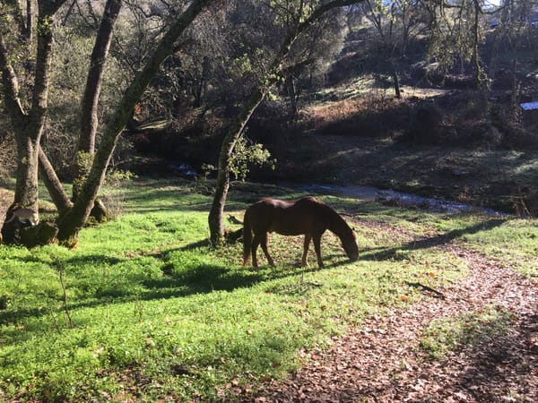 Winter, or not? March is undecided