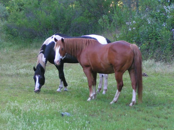 First full moon of Spring